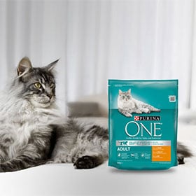 Lot de croquettes pour chat Purina One offert (100 gagnants) - Echantillons  gratuits en Belgique