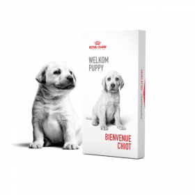 Recevez gratuitement votre sac d'aliments pour chiots ou chatons